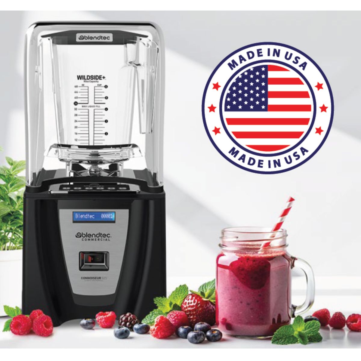 blender blendtec (1)